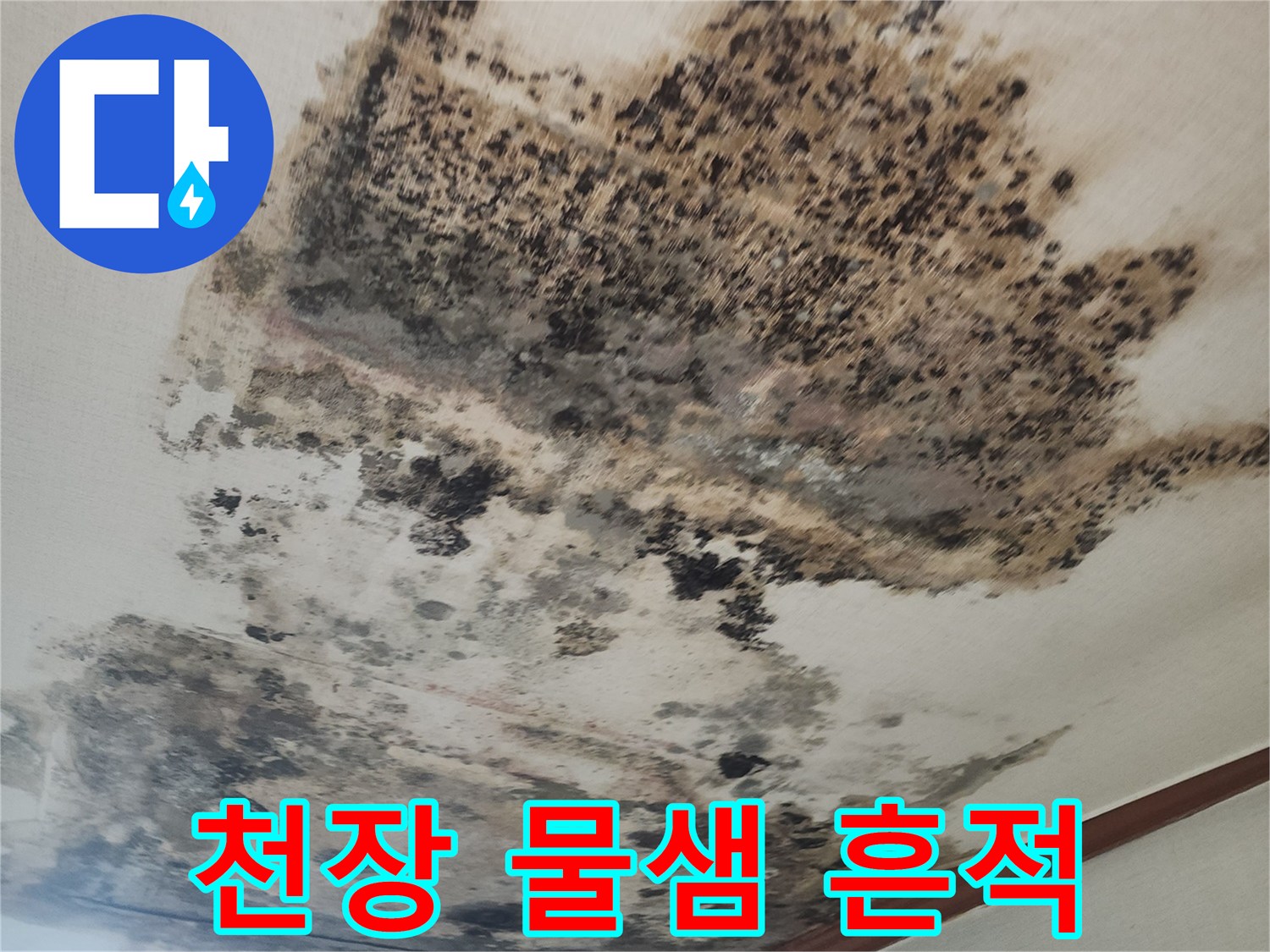 물샘으로 인해 검게 변색되고 곰팡이가 생긴 벽면