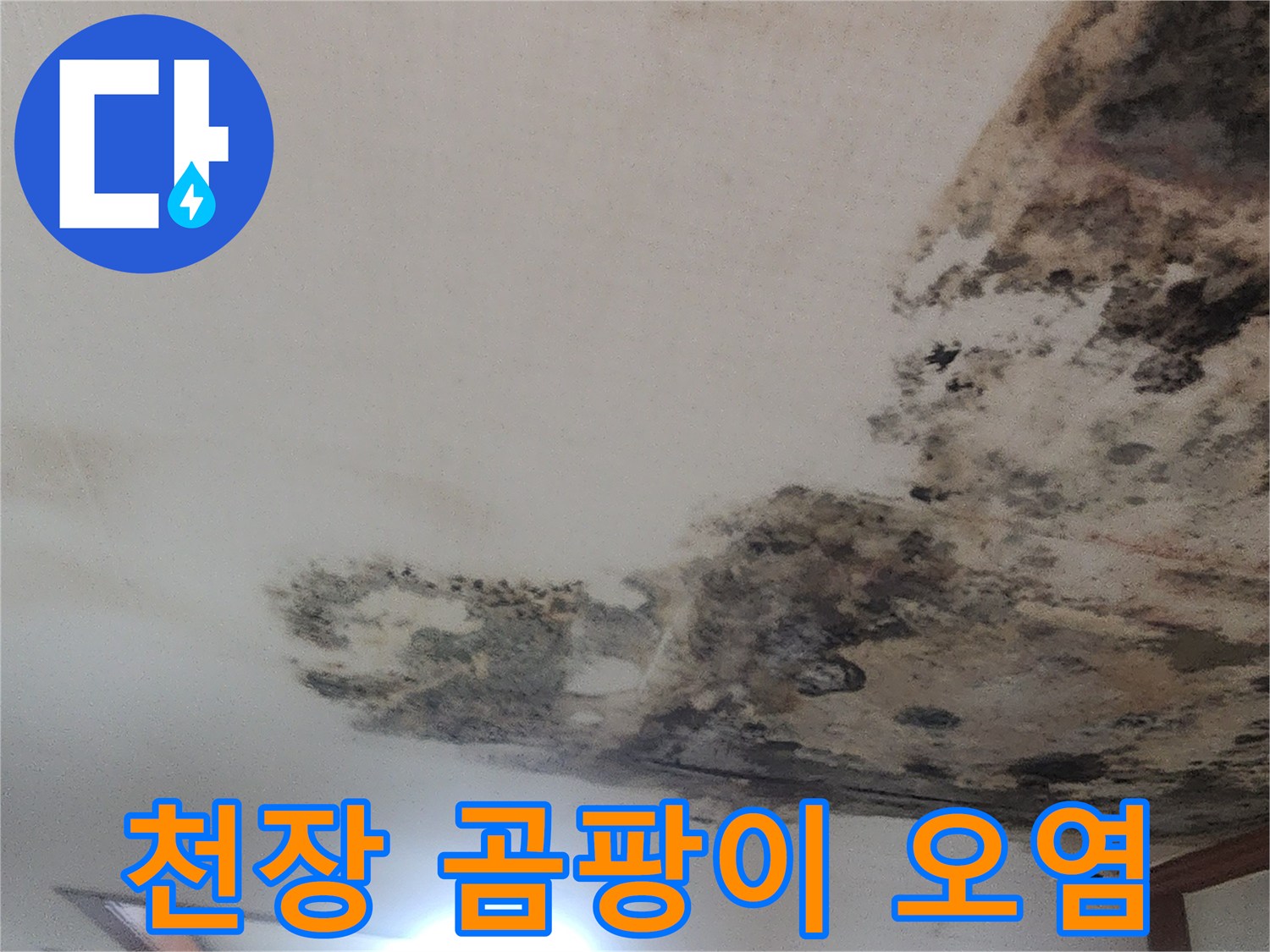 물샘으로 인해 검게 변색된 거실 천장 벽지