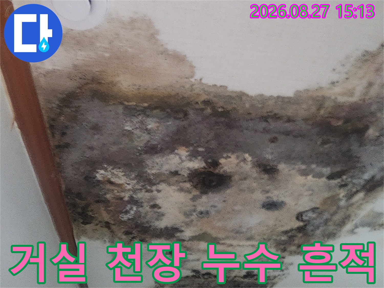 물자국과 곰팡이가 심하게 발생한 거실 천장 벽면