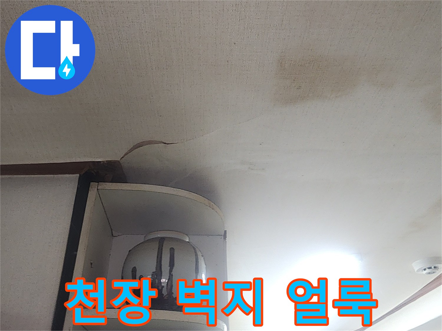 성북구 현장-천장 벽지에 발생한 젖은 얼룩과 변색 상태
