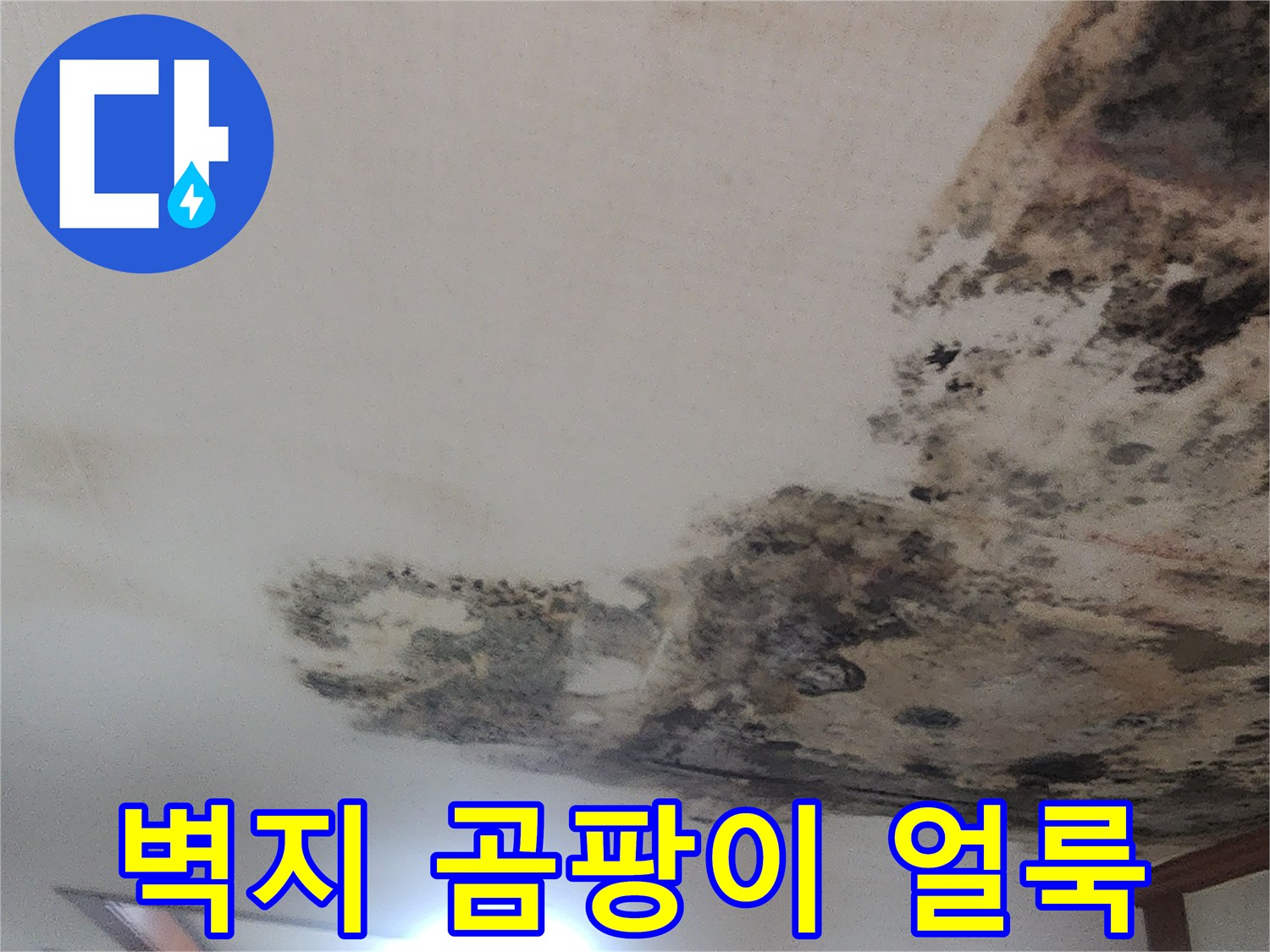 천장 벽면-광범위하게 퍼진 곰팡이와 물자국 흔적