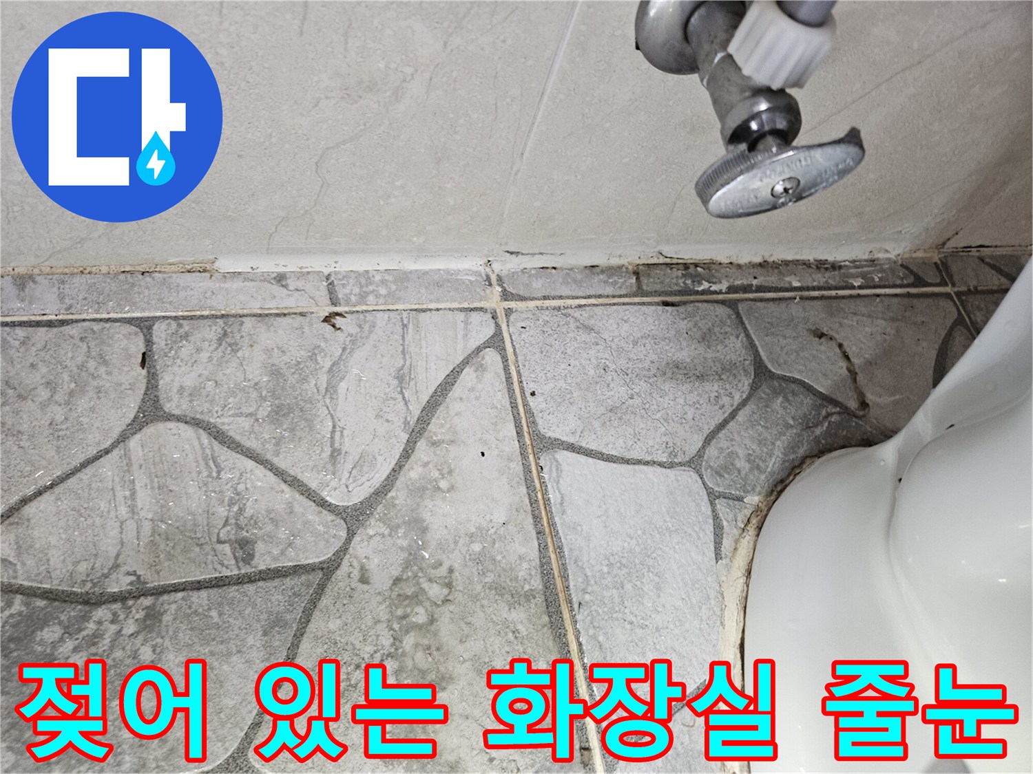 변기-뒤쪽-타일-사이의-습윤한-줄눈-상태