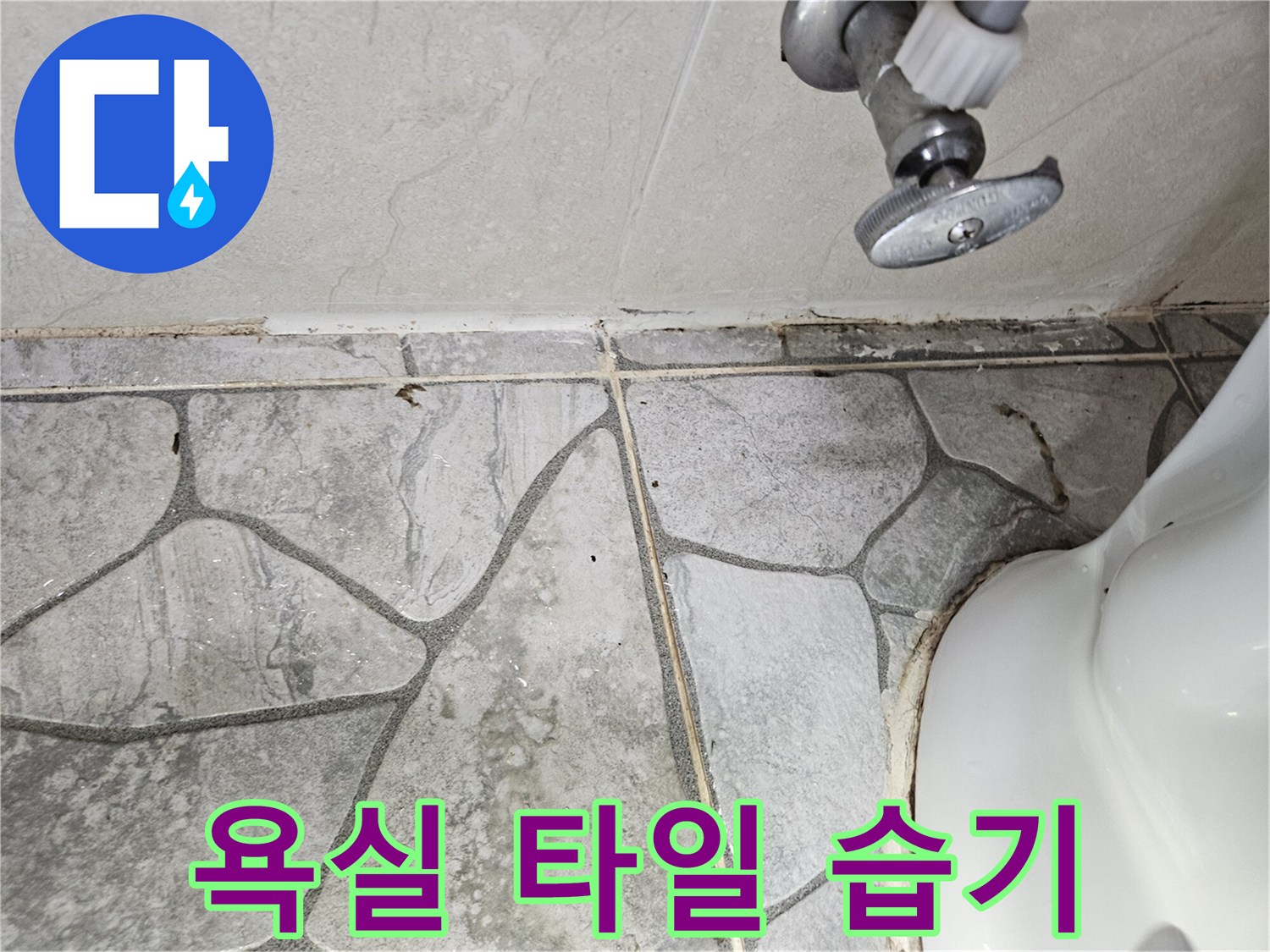 습기가 침투한 화장실 벽면 타일 줄눈 부위