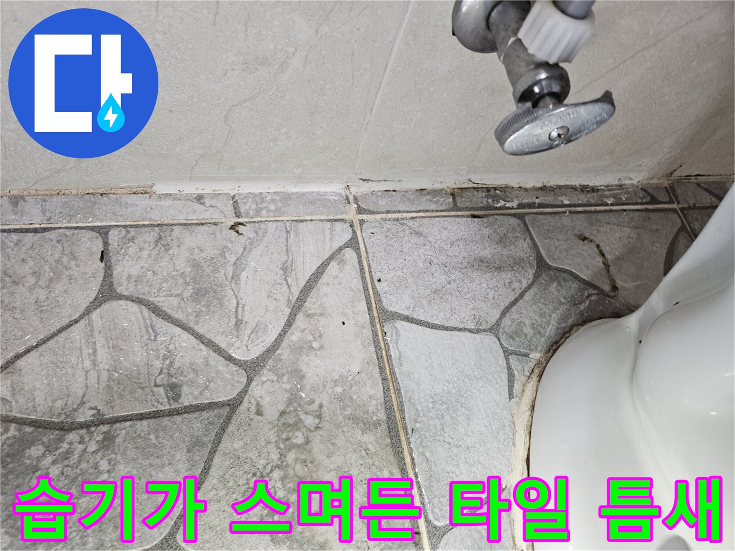 타일-사이-줄눈-부분의-습윤한-상태-촬영