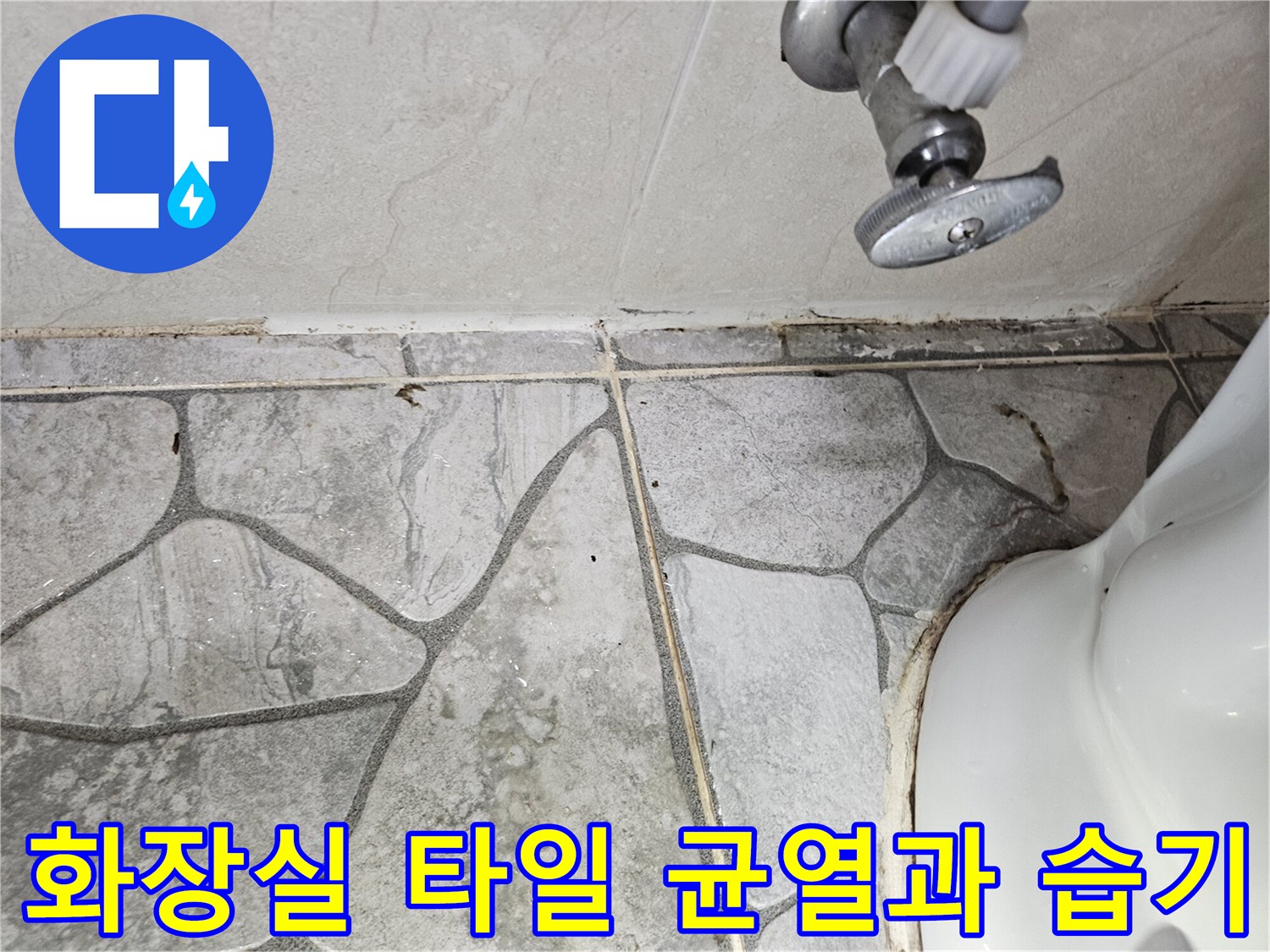 화장실-타일-줄눈-사이의-습기와-오염된-상태