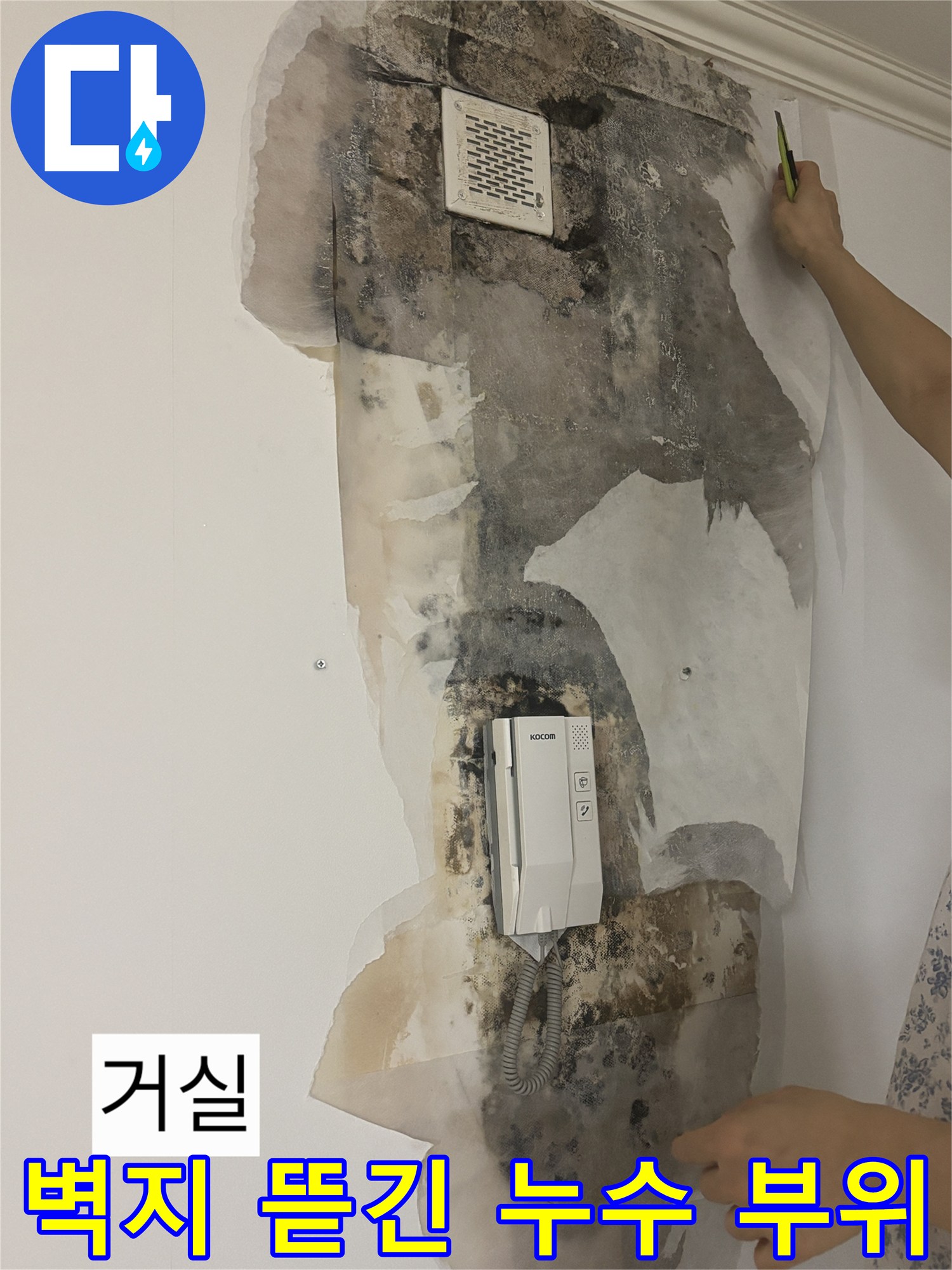 훼손된 벽지 사이로 드러난 누수로 인한 콘크리트 오염 부위