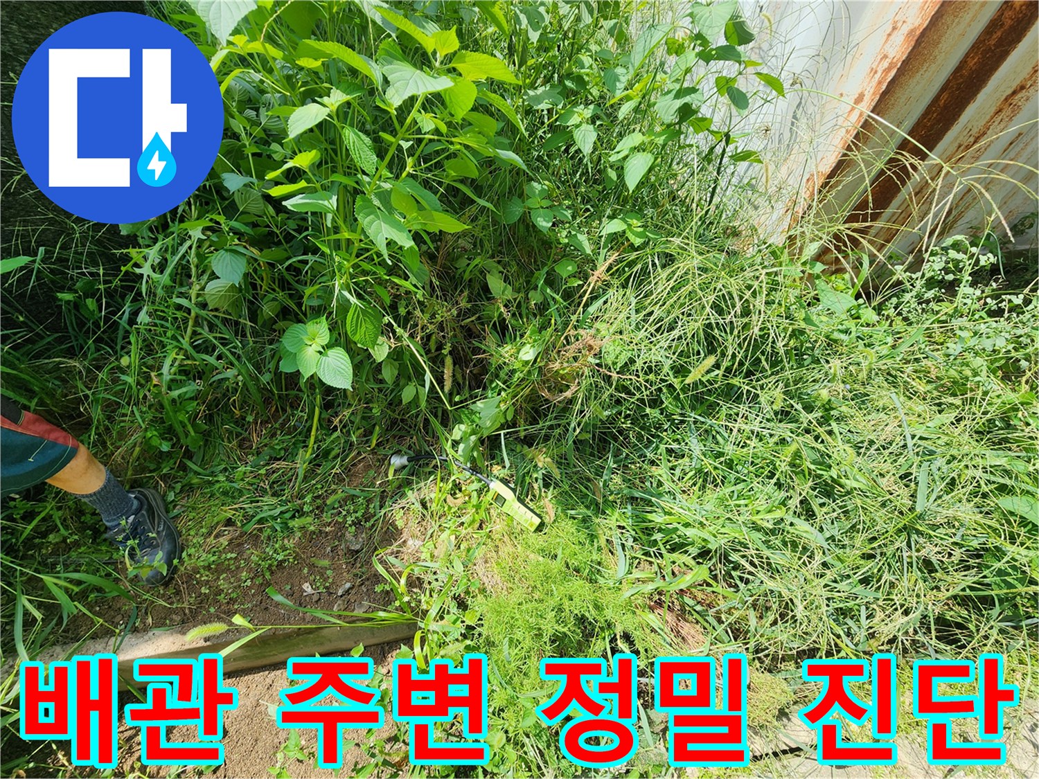 무성한 풀 사이로 보이는-배관 매설 구간의 누수 탐지 작업