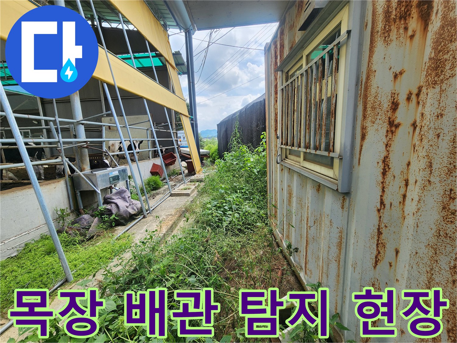 양주시 남면 목장-외부 배관 주변 정밀 탐색 과정