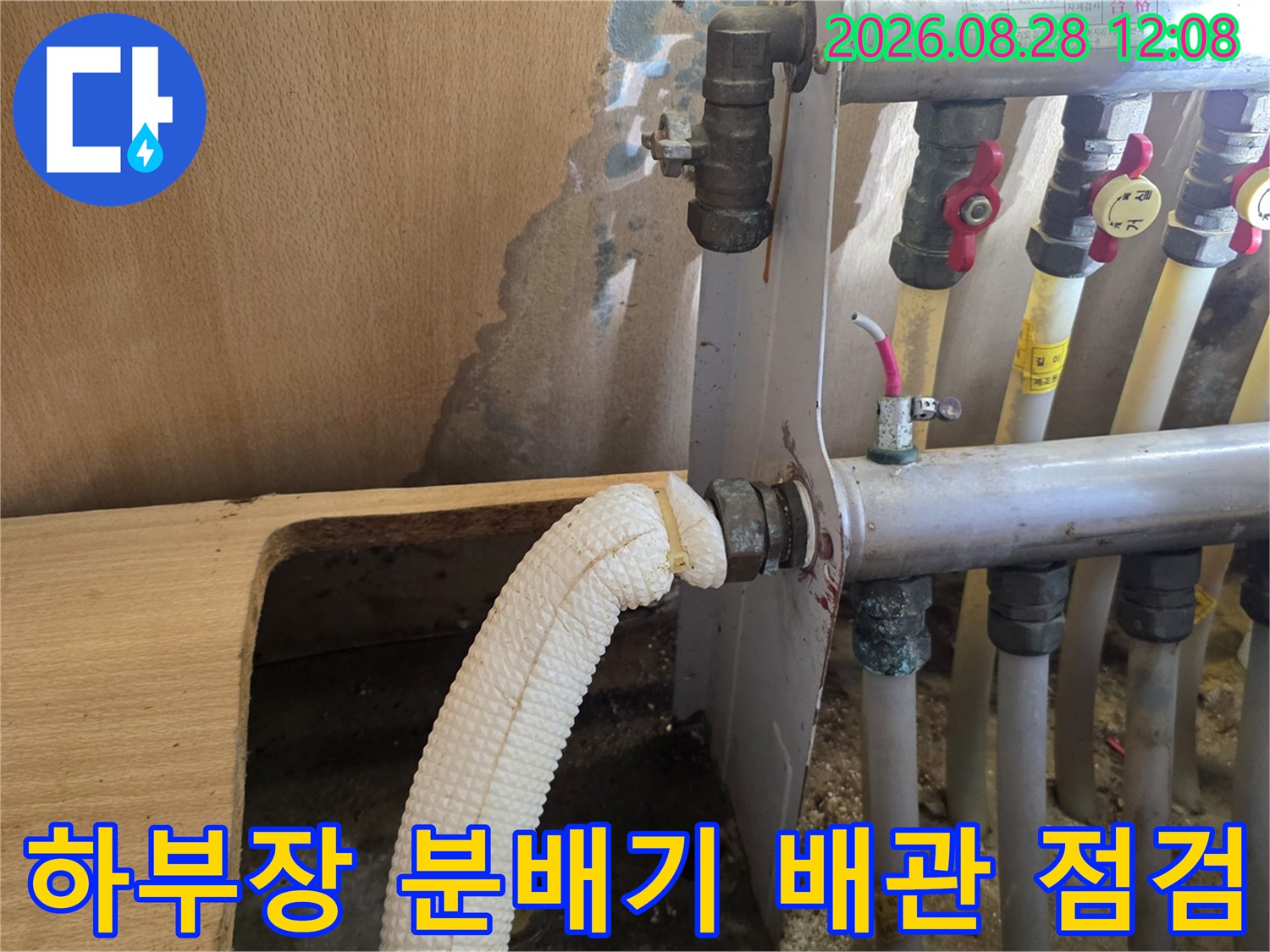 싱크대 하단에 노출된 분배기와 연결 배관의 상세 모습