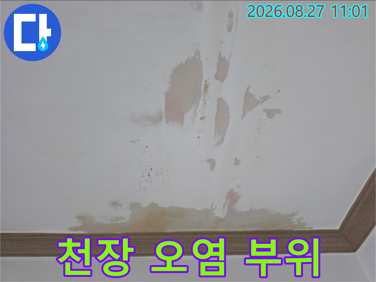 금산읍 아파트 천장에 발생한 누수 흔적과 얼룩