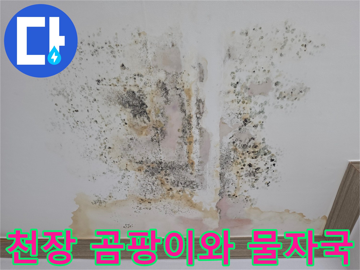 아파트 천장 부위-심한 곰팡이와 변색된 물자국 상태