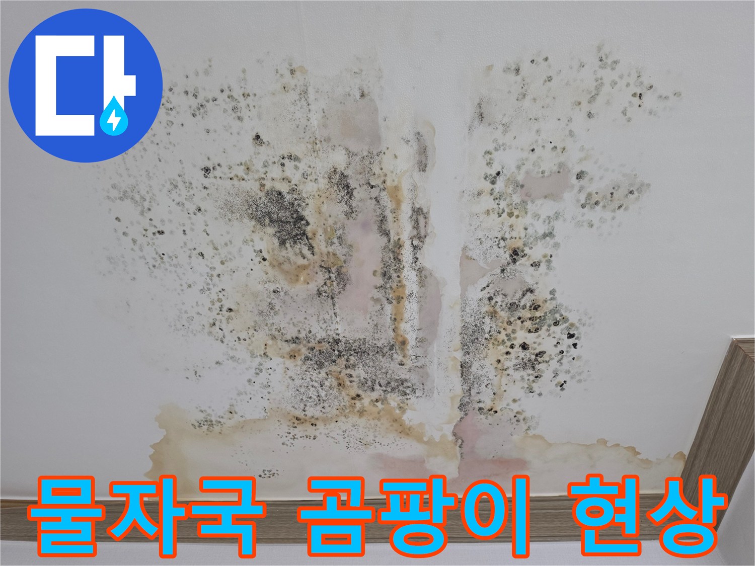 천장 물샘 흔적-검게 번진 곰팡이와 갈색 얼룩