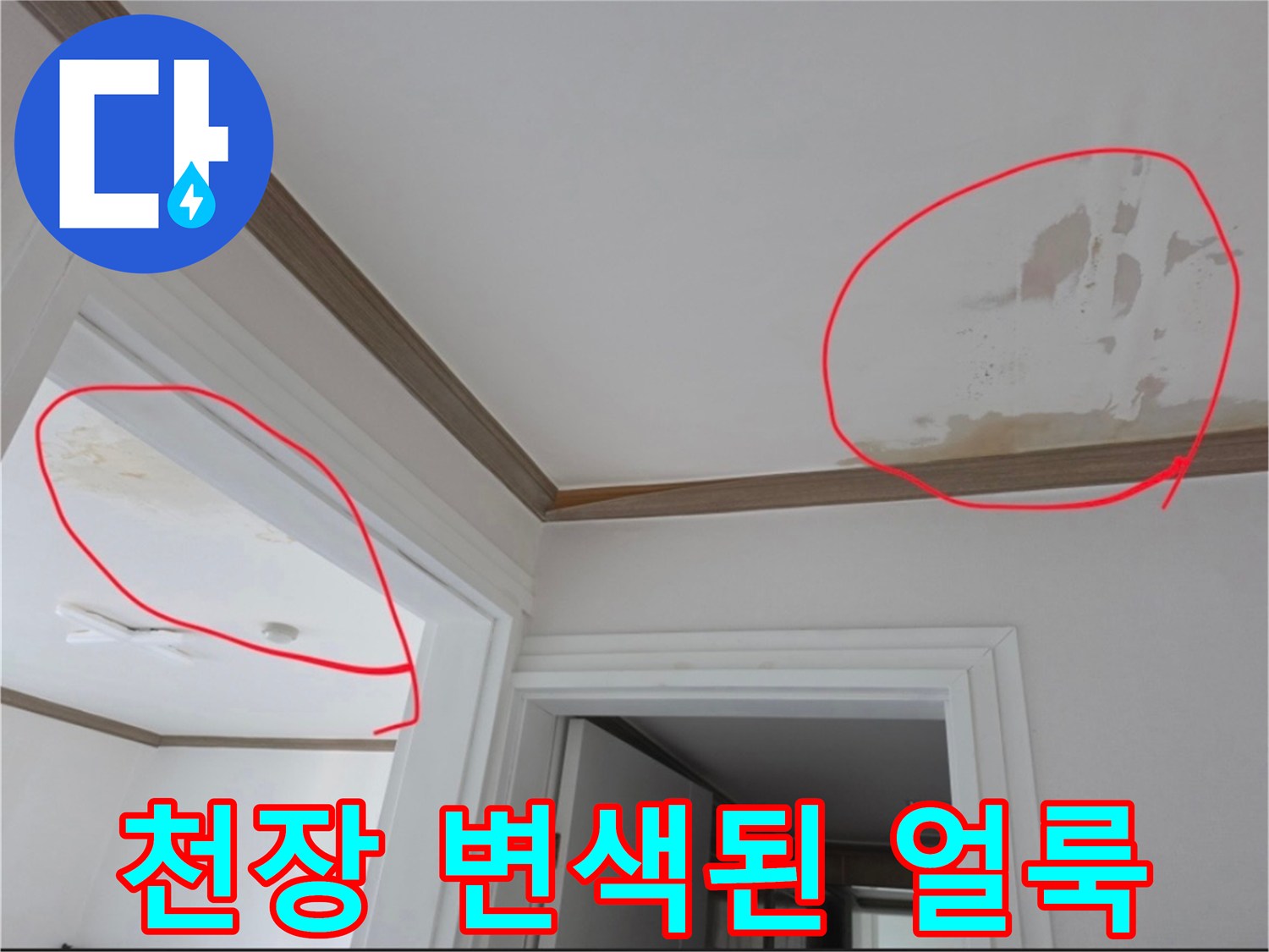 흰색 천장에 나타난 갈색빛의 누수 변색 부위 사진