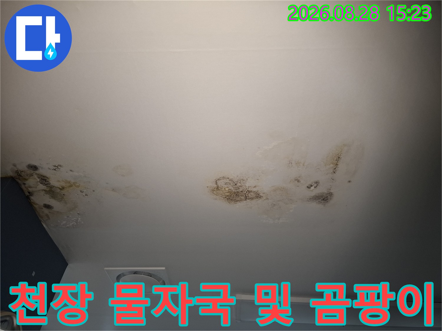 천장 마감재에 발생한 다수의 누수 얼룩과 곰팡이