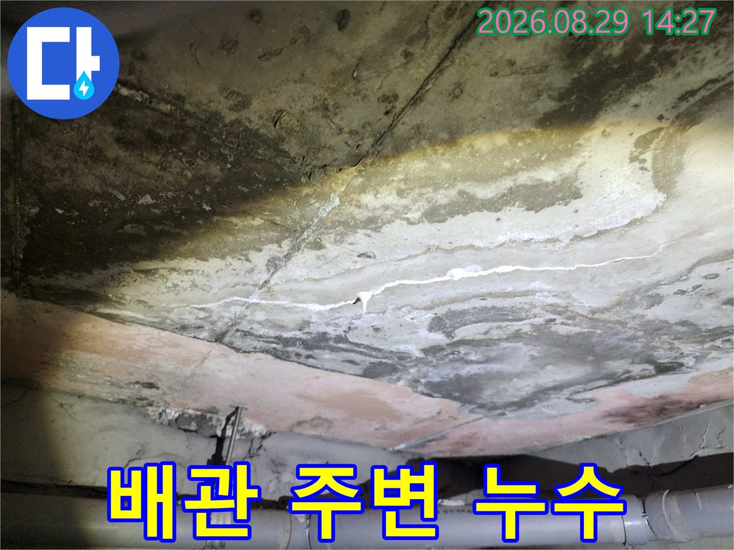 천장 배관 하단부의 습기와 콘크리트 젖음 현상 확인