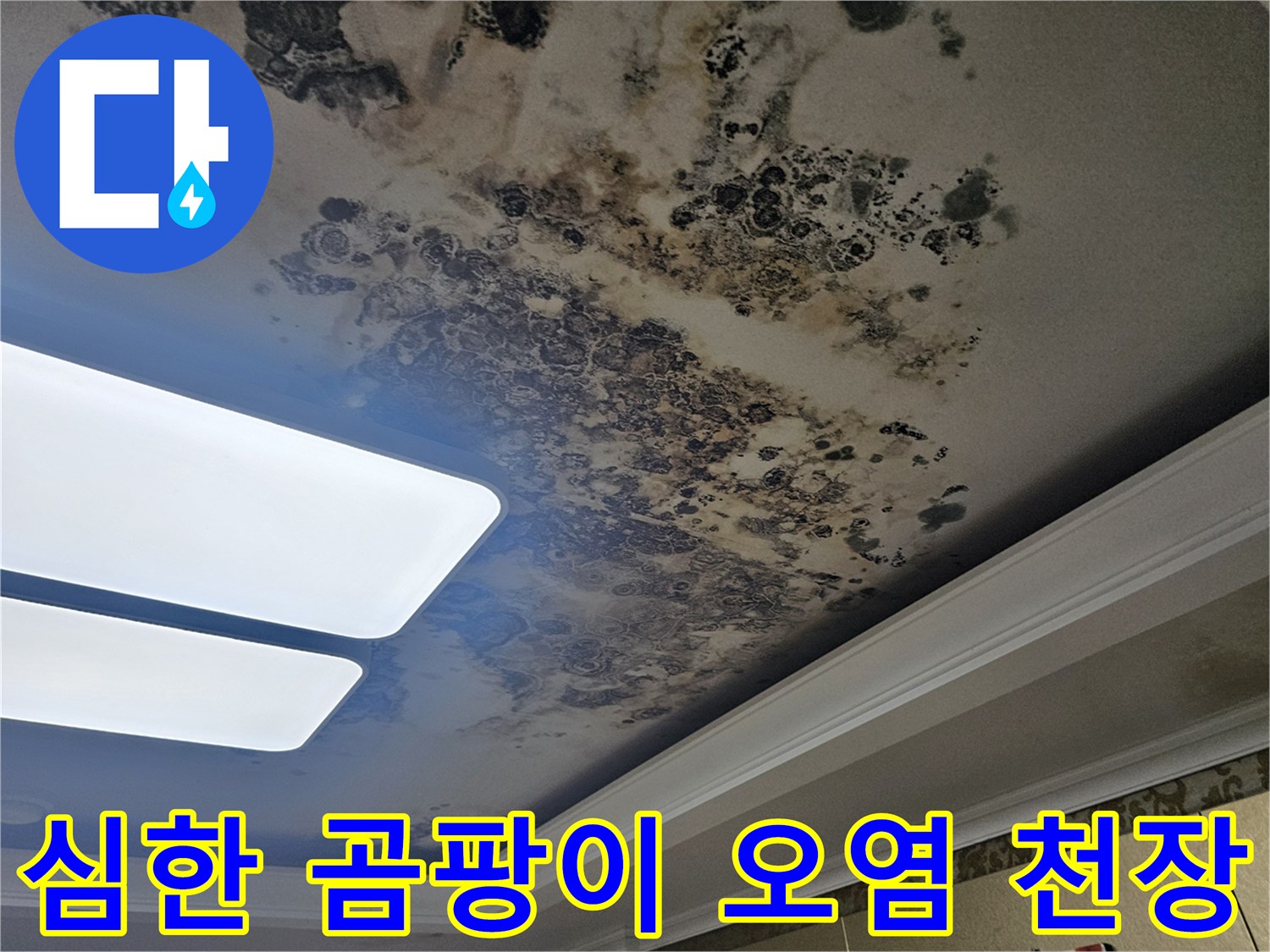 검은색과 갈색 얼룩이 뒤섞인 거실 천장 마감 상태