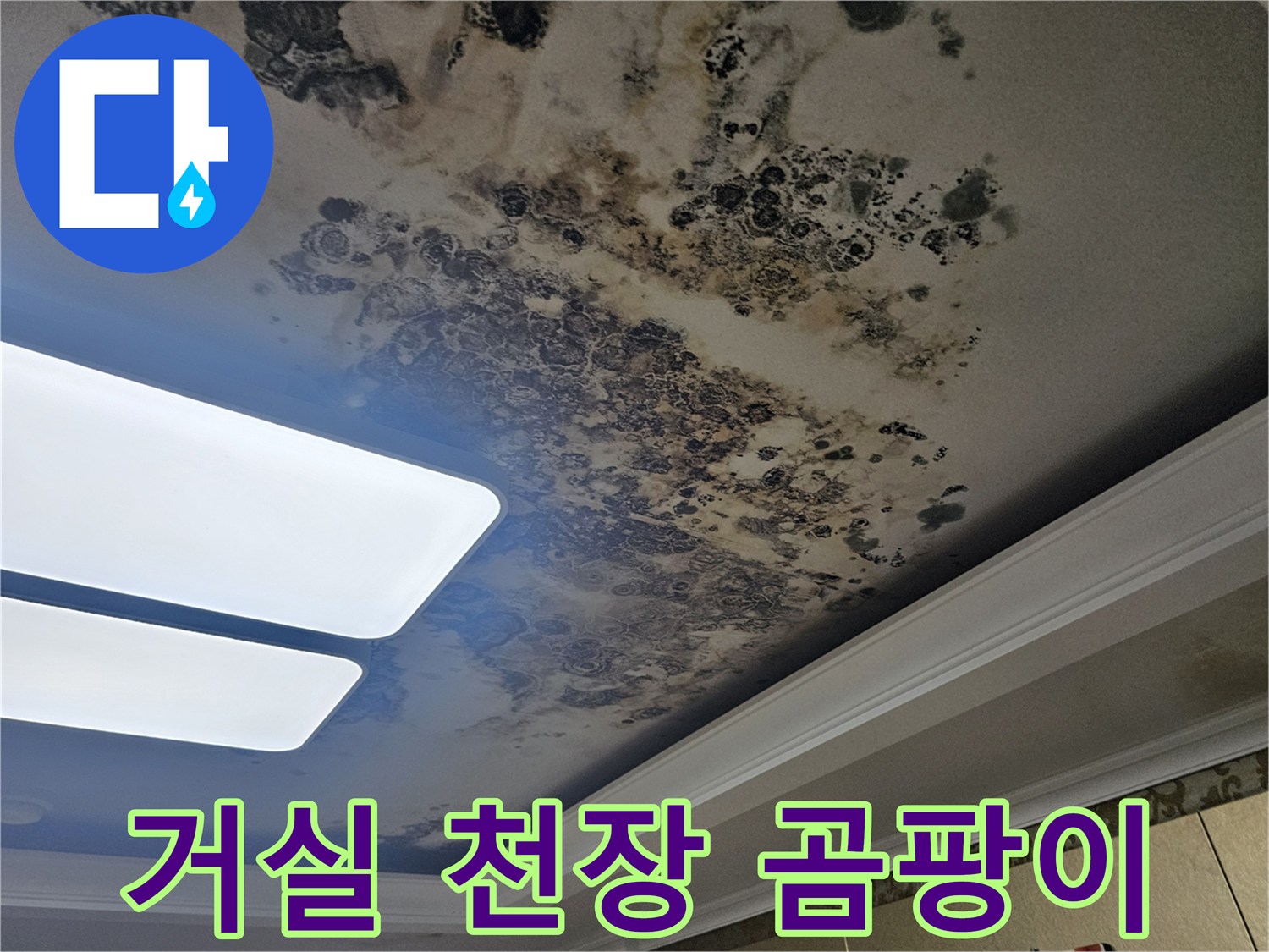 천장 매립등 주변의 심한 변색과 넓게 퍼진 곰팡이 흔적