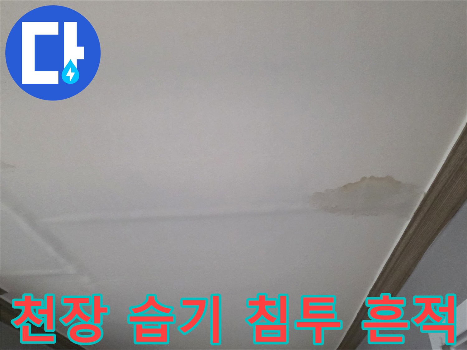 거실-천장-마감재-내부-누수-침투-현상