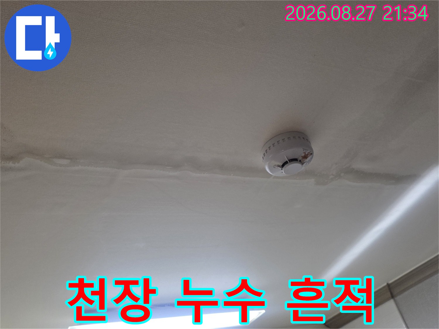 길게 이어진 천장 벽지의 누수 얼룩 현상