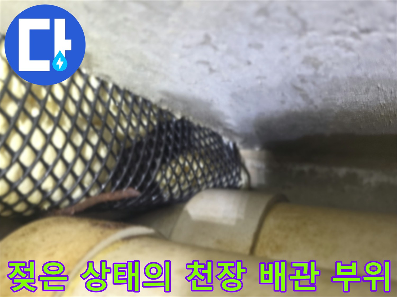 배관 주변에 나타난 누수 흔적과 습기 사진