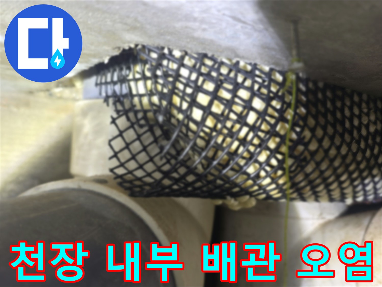 배관 주변의 젖은 흔적-천장 배관 하단부에 나타난 습기와 수분 침투 흔적