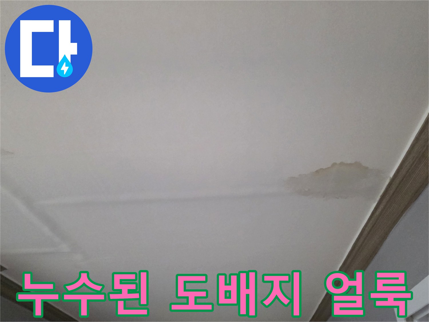 빌라 내부 거실-천장 벽지가 젖어 있는 상태