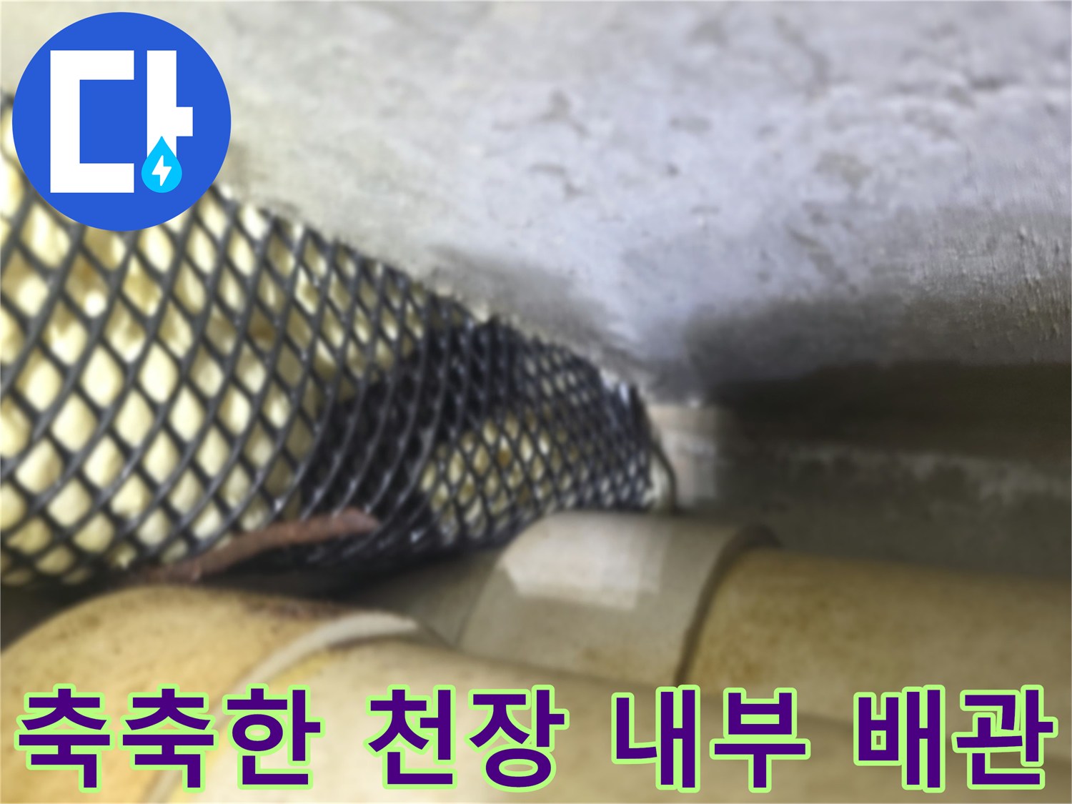 천장 구조물 사이로 보이는 젖은 배관의 모습
