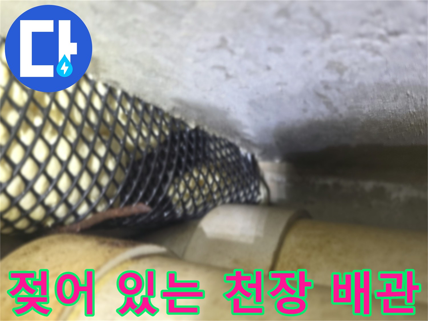 천장 내부 배관과 메쉬 구조물 주변의 젖은 모습