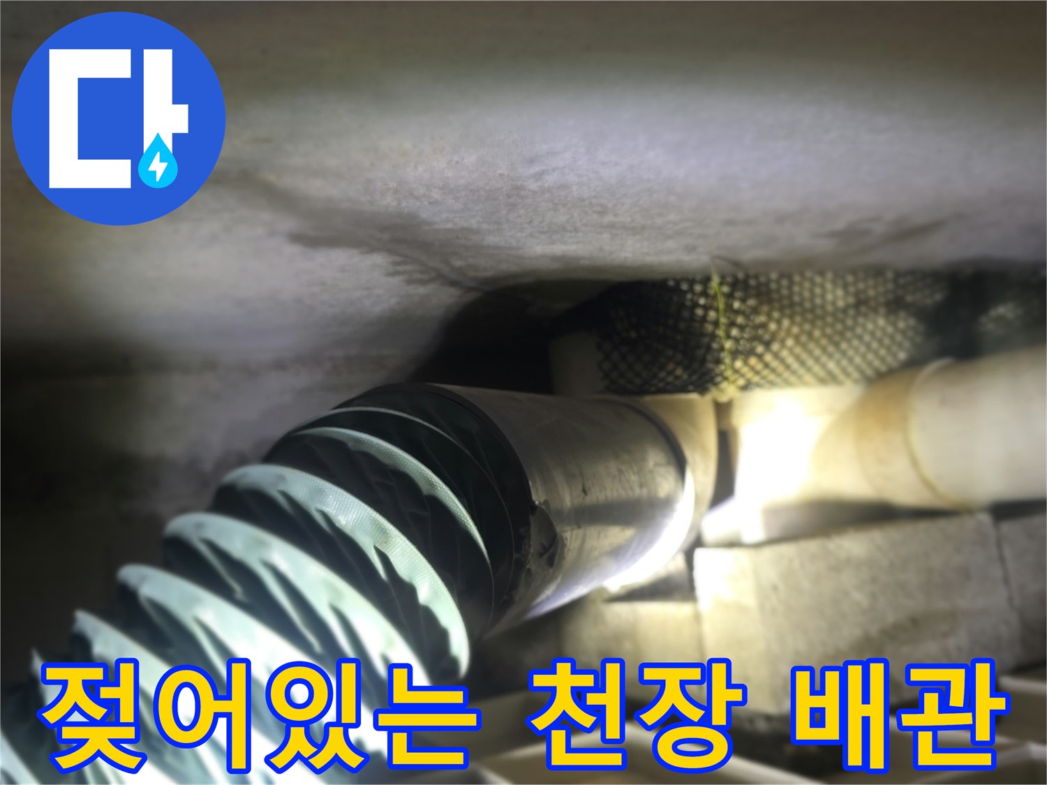 천장 내부-습기로 젖은 배관 및 마감재