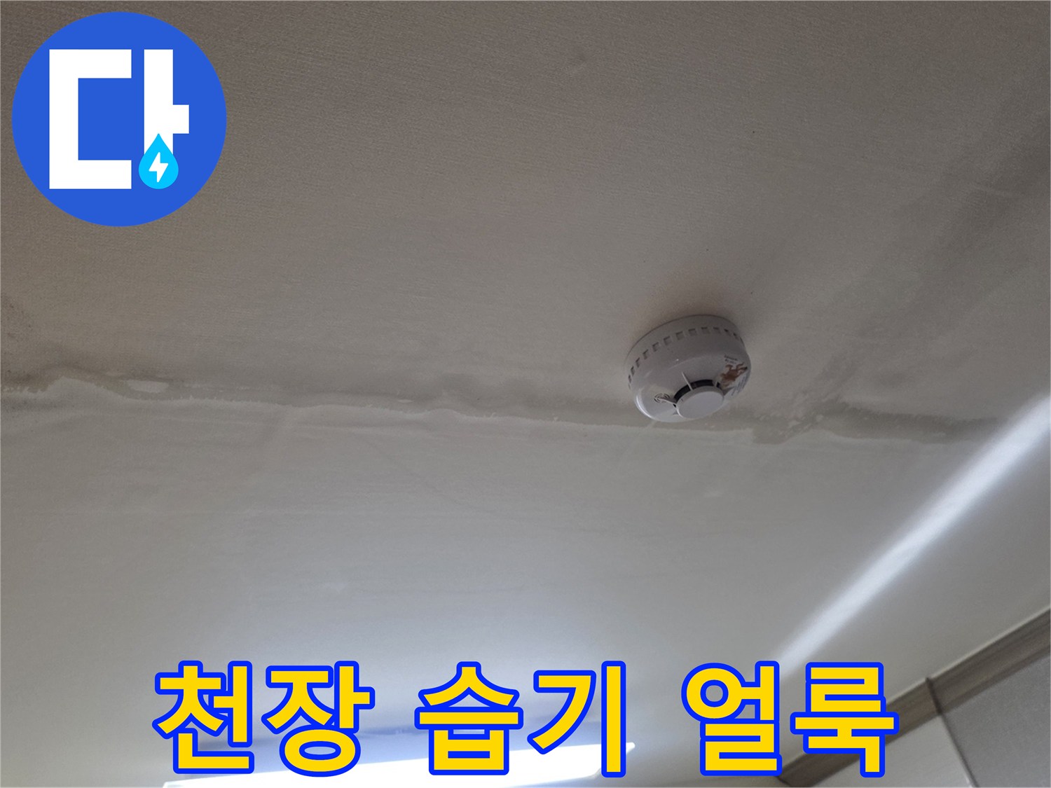 천장 마감재를 따라 길게 번진 젖은 자국