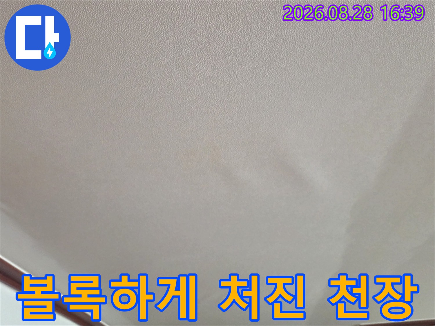 습기 때문에 불룩해진 거식 천장의 모습