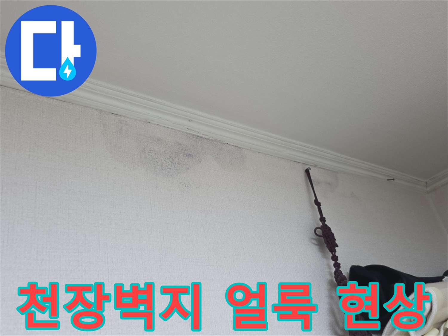 강동구 암사동 현장의 천장 벽지 젖음 및 변색 상태