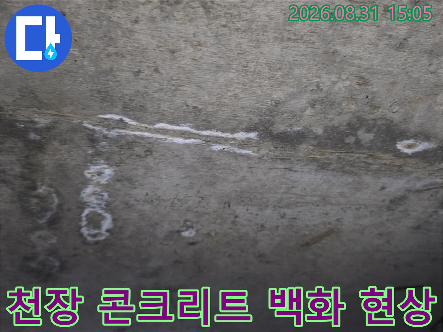 물기가 스며든 콘크리트 표면의 하얀색 얼룩과 흔적