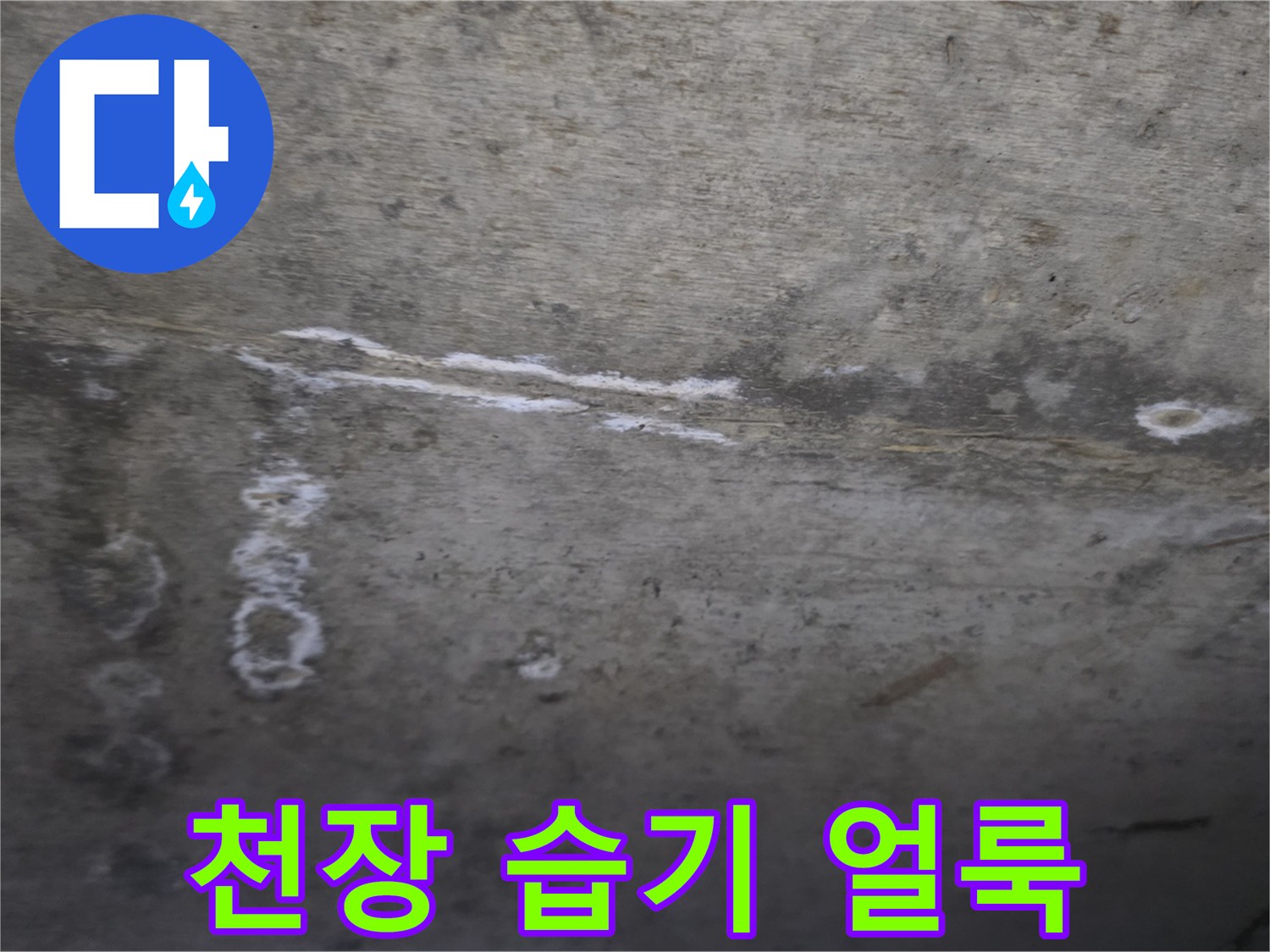 물샘 증상이 나타난-화장실 천장 콘크리트의 하얀 흔적