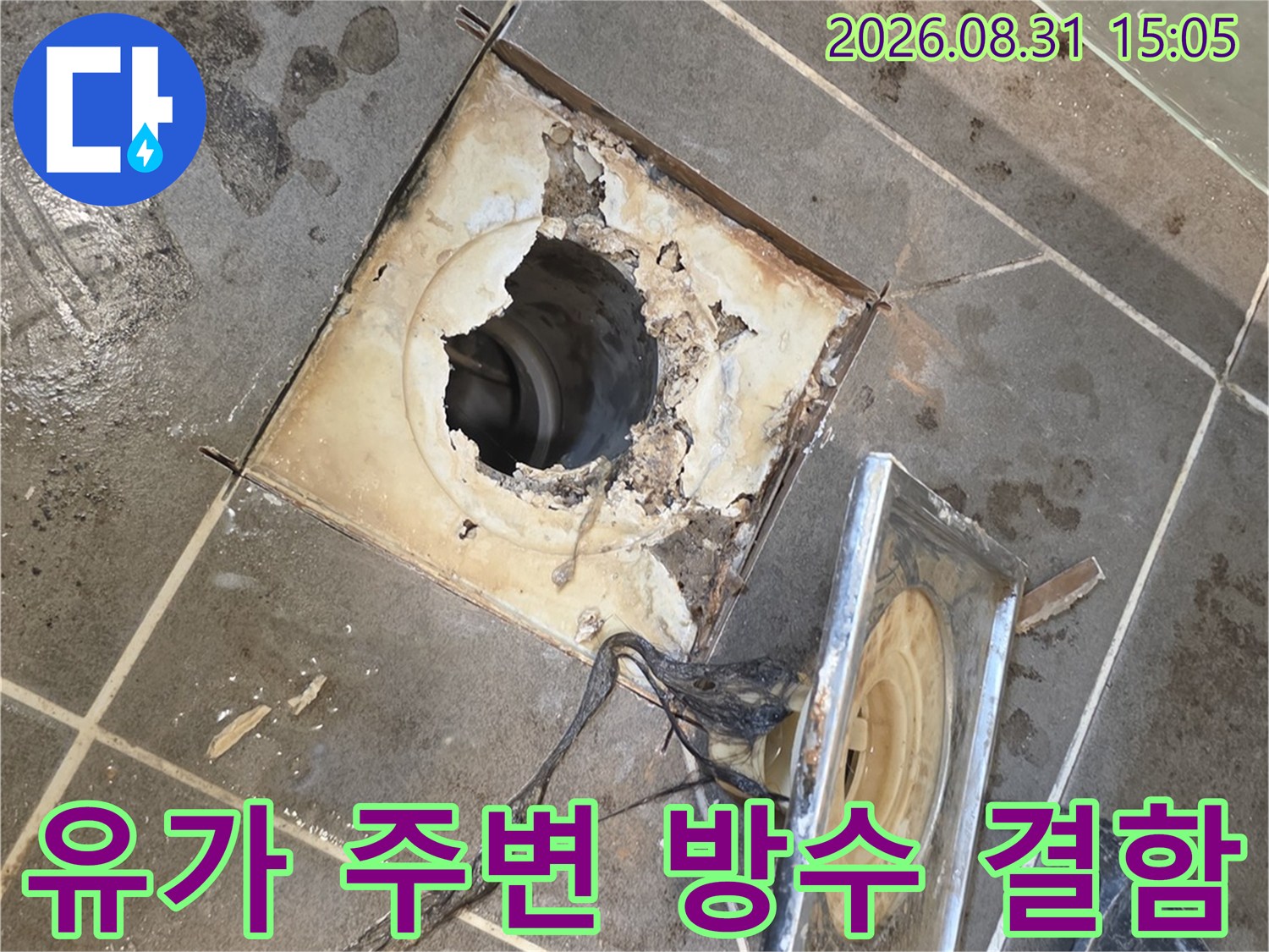 배수구 유가 제거 후 드러난 배관 주변의 틈새