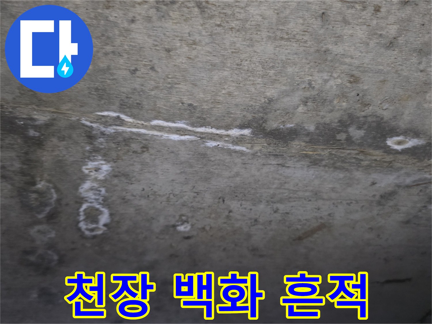 슬래브 표면-하얗게 일어난 누수 잔여물