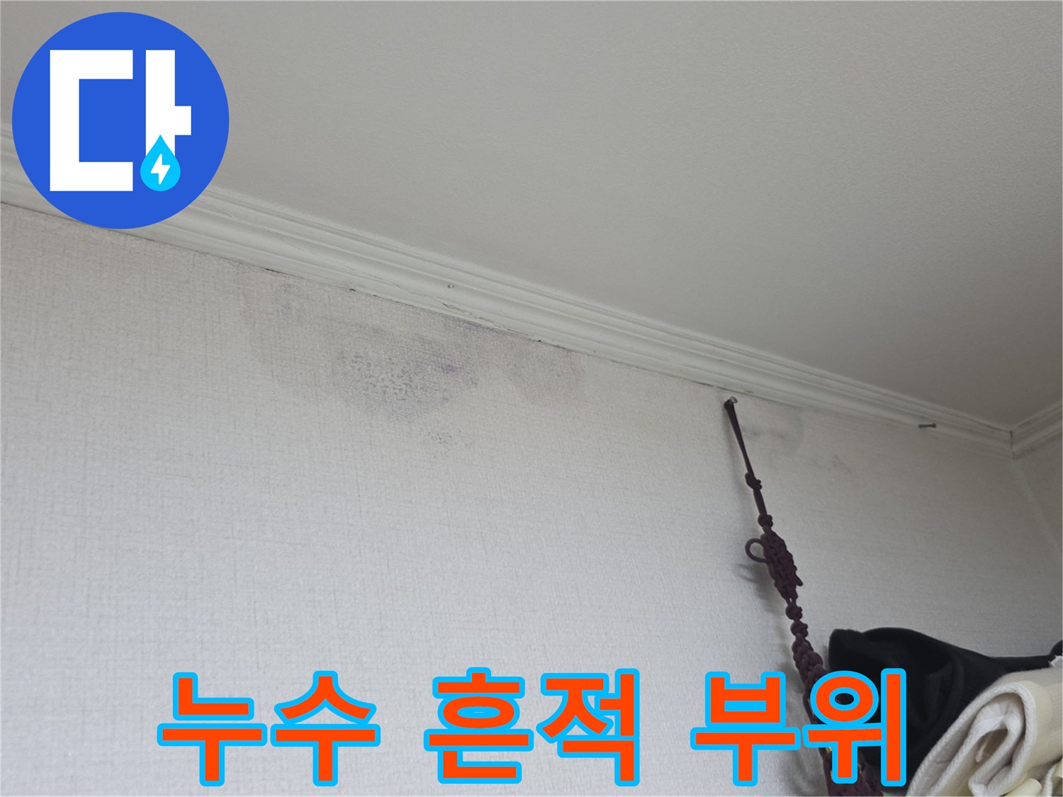 천장 몰딩 아래쪽의 어두운 습기 얼룩