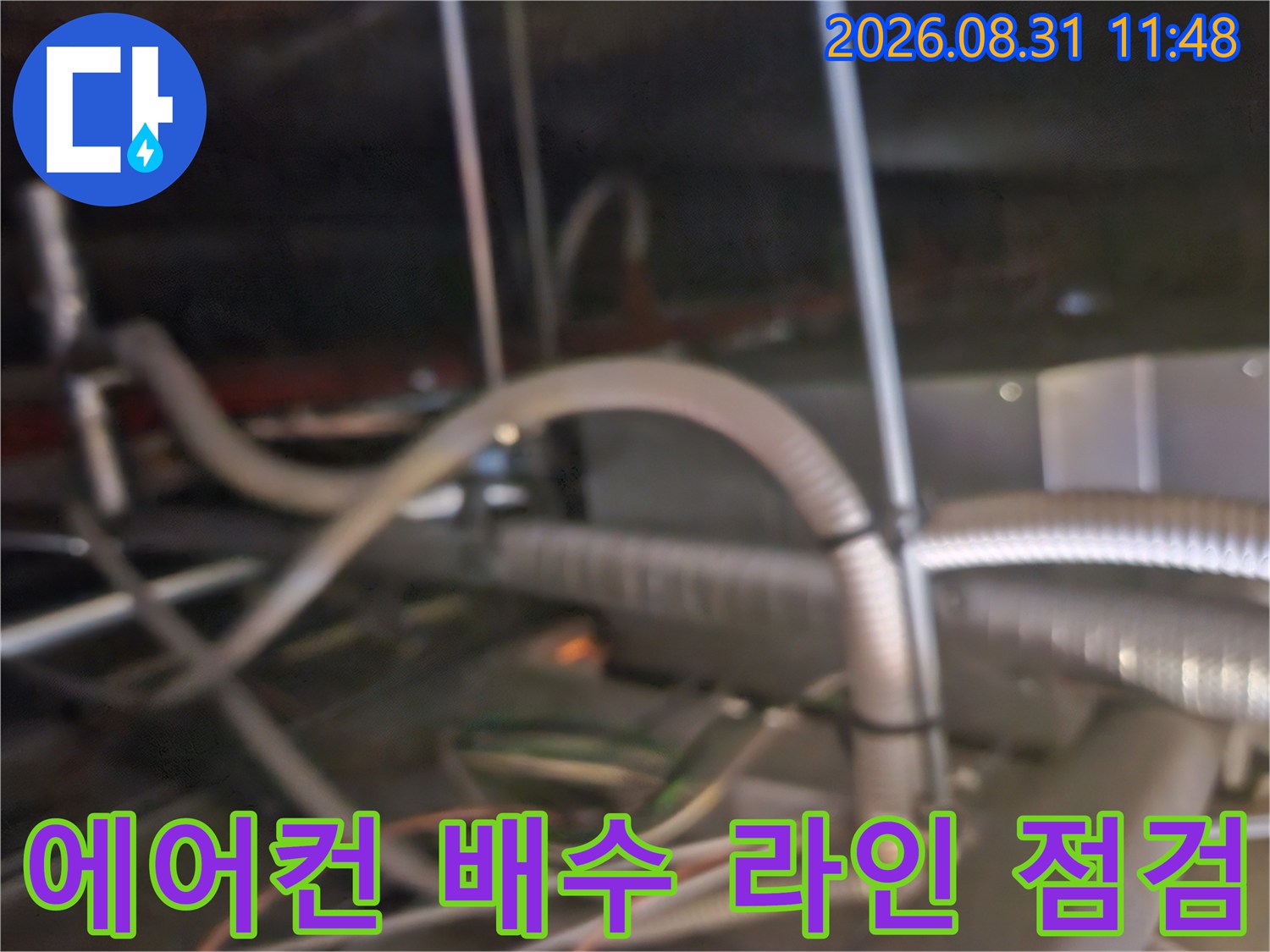 천장 텍스 안쪽 에어컨 드레인 호스와 연결된 배관들의 모습