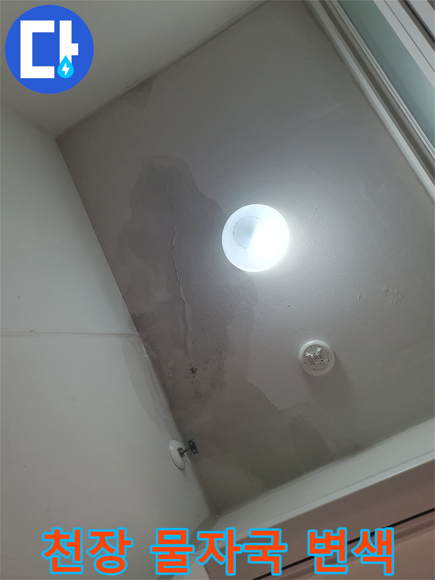 넓게 퍼진 세탁실 천장의 누수 흔적 및 변색 부위