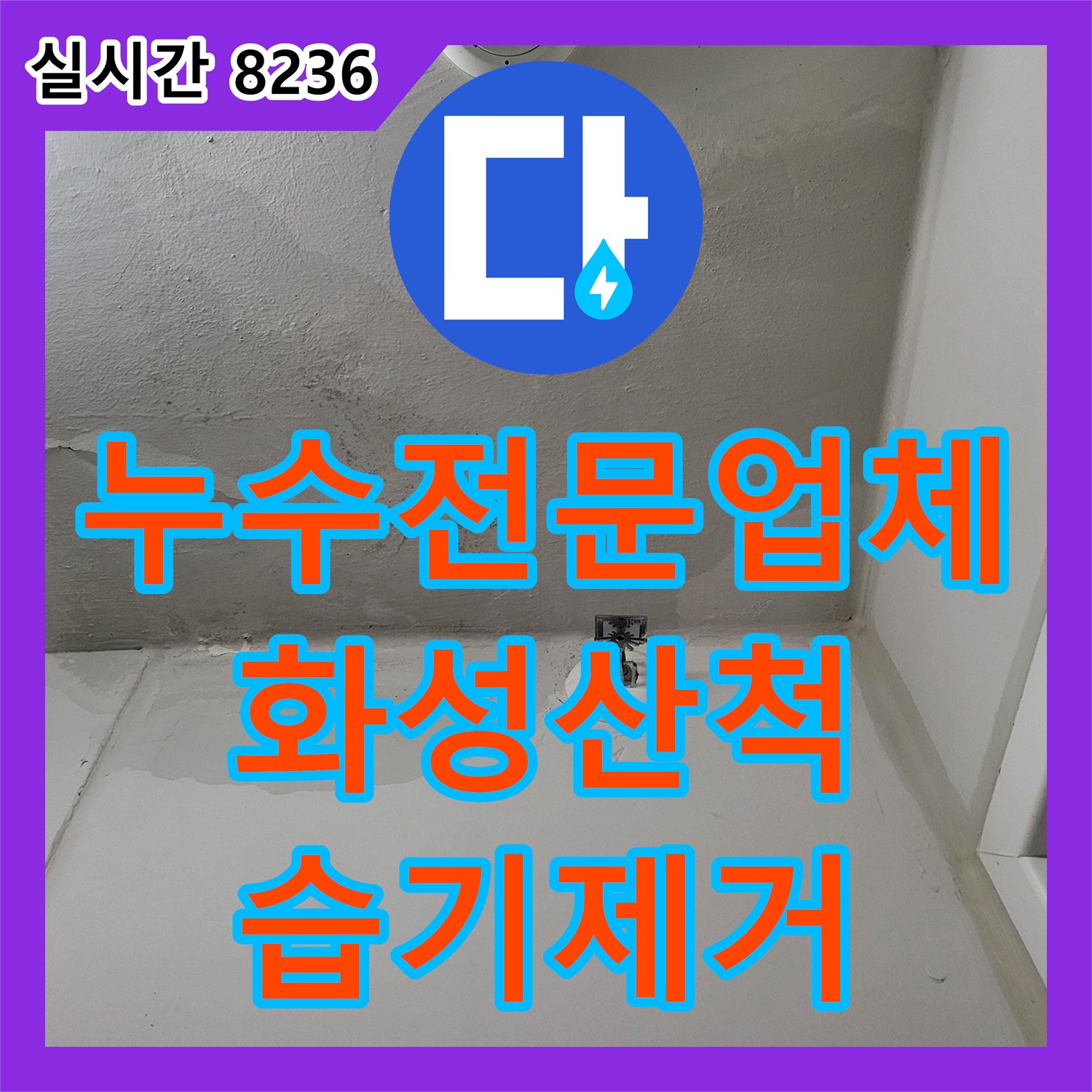 누수전문업체 세탁실 천장 벽면의 광범위한 습기와 균열을 정밀 진단하고 해결한 경기 화성시 동탄구 산척동