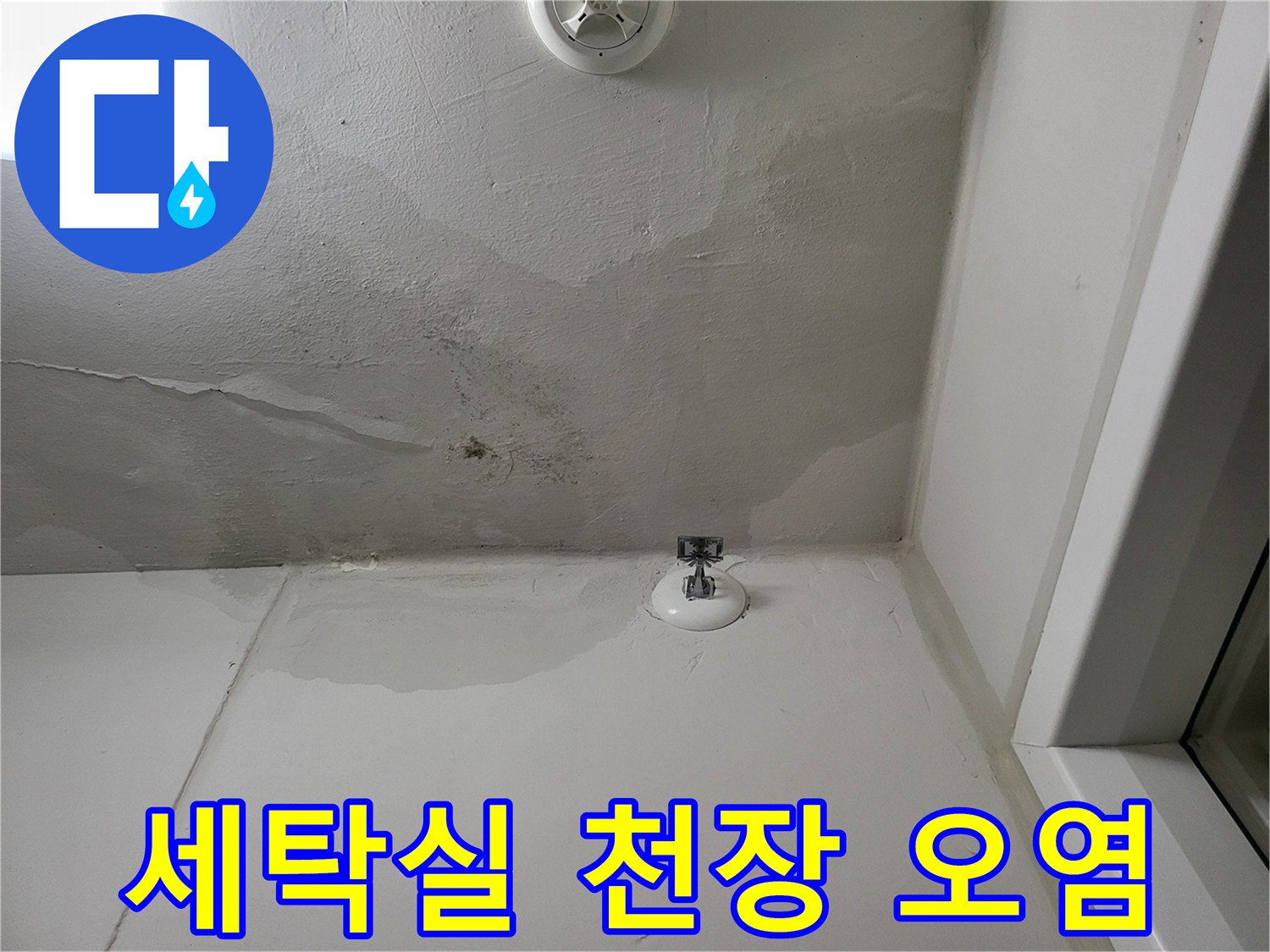 동탄 세탁실-천장 배관 주변의 누수 흔적 사진