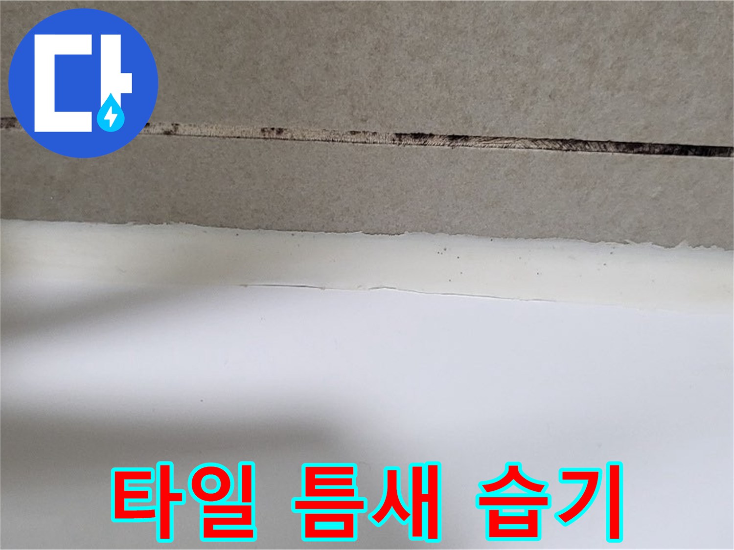 습기로 인해 어둡게 얼룩진 타일 경계선