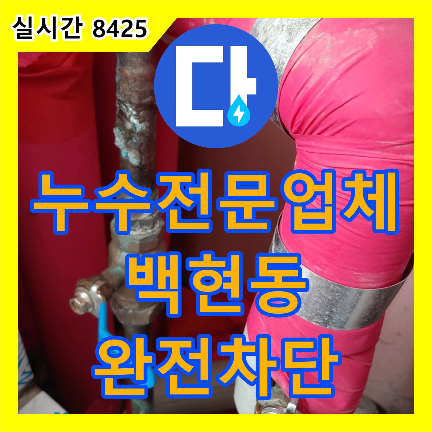 누수전문업체 거실 천장 누수를 유발한 다용도실 세탁실 동배관 미세 누수 지점 보수 경기 성남시 분당구 백현동