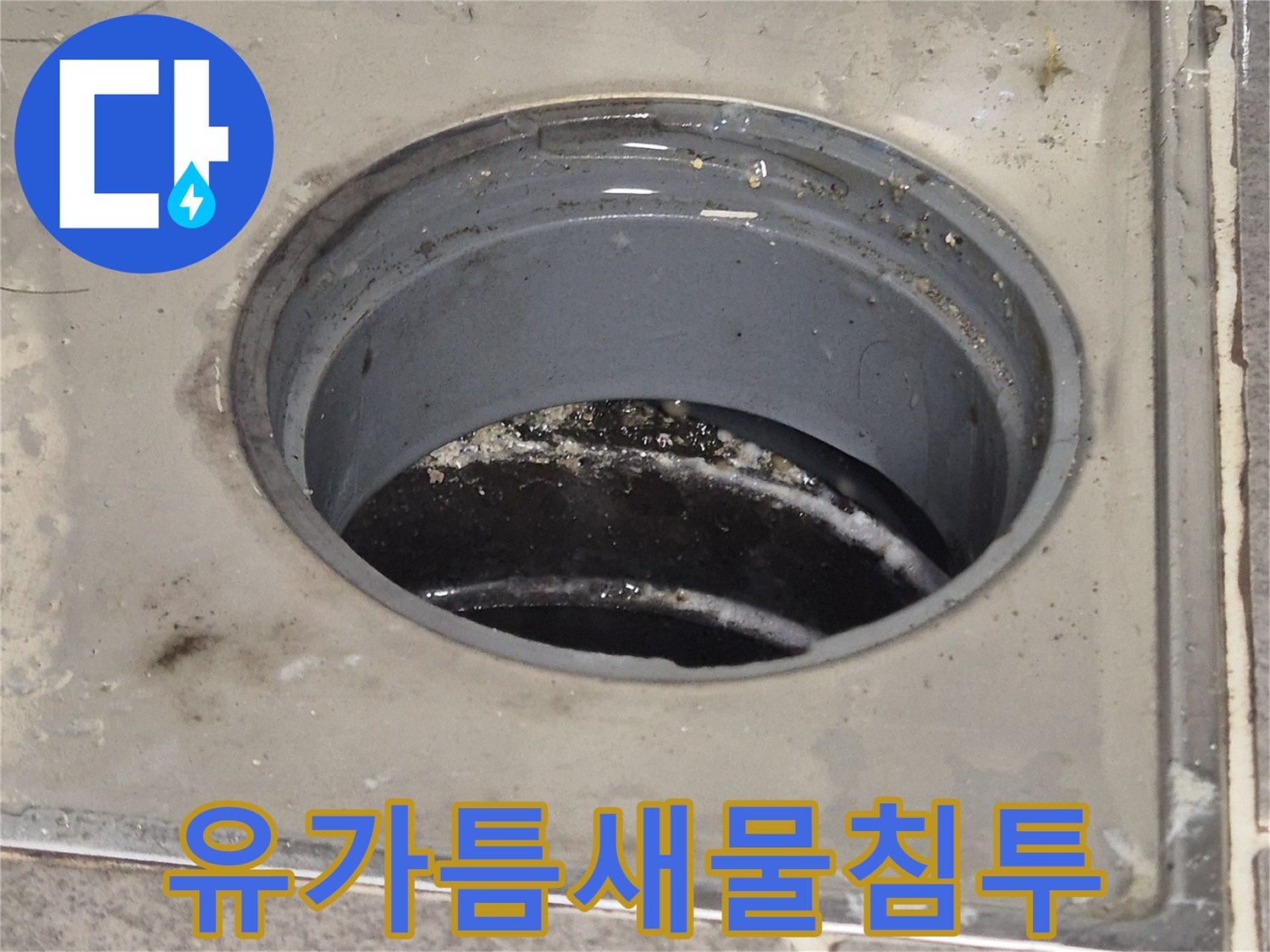동탄-욕실-하수구-배수구-주변-마감재-탈락-현상