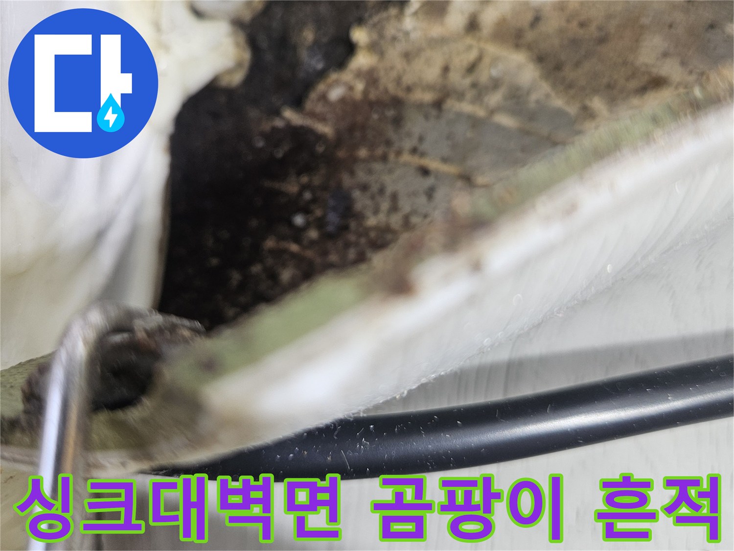 싱크대 하부장 벽면-검게 변한 곰양과 습기 상태