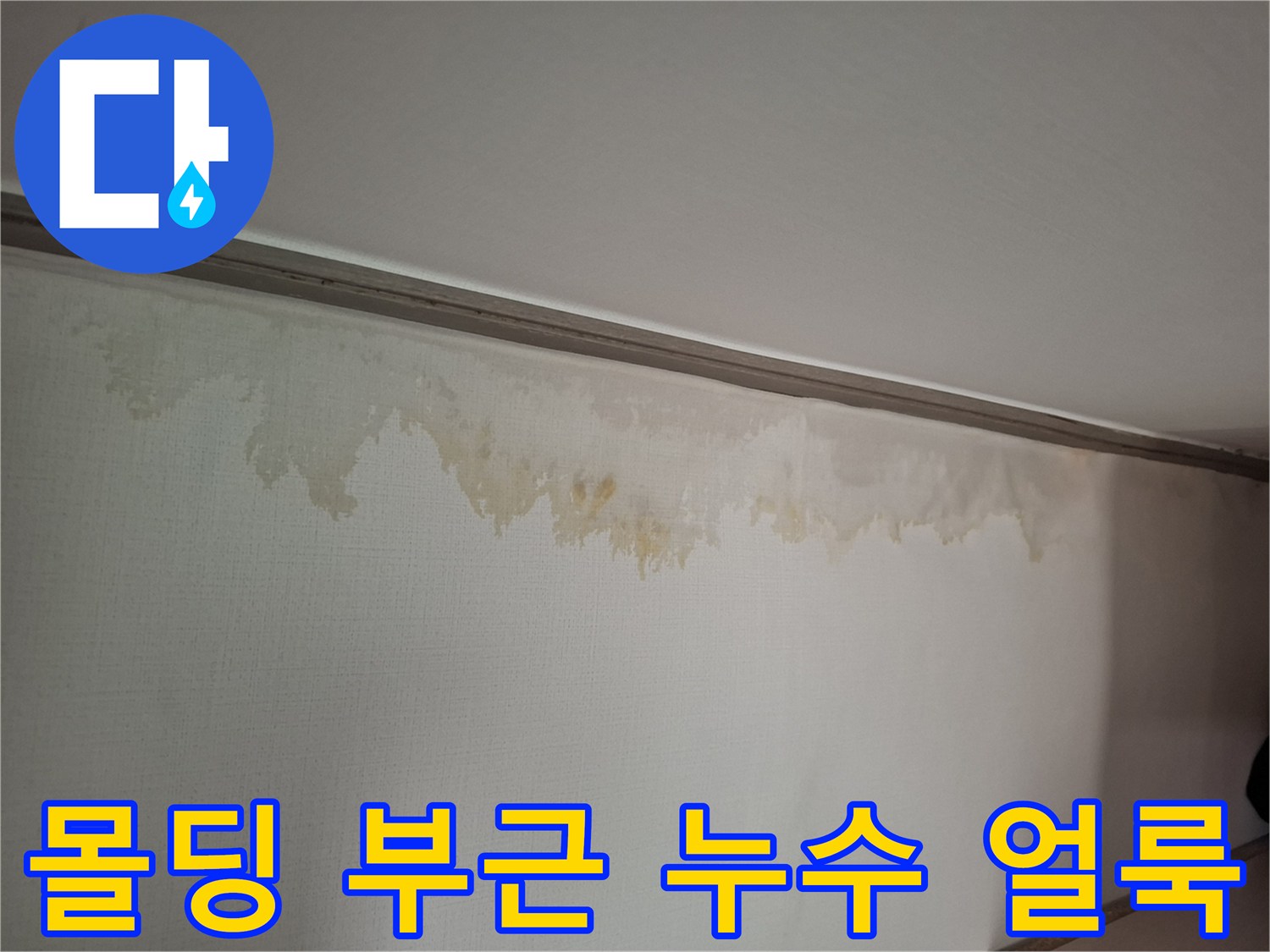 천장 몰데링-벽지 변색 및 젖음 현상