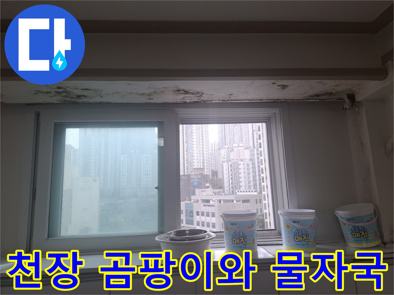 아파트 거실 창가 - 천장과 벽면 경계부에 발생한 곰팡이 및 얼룩 부위