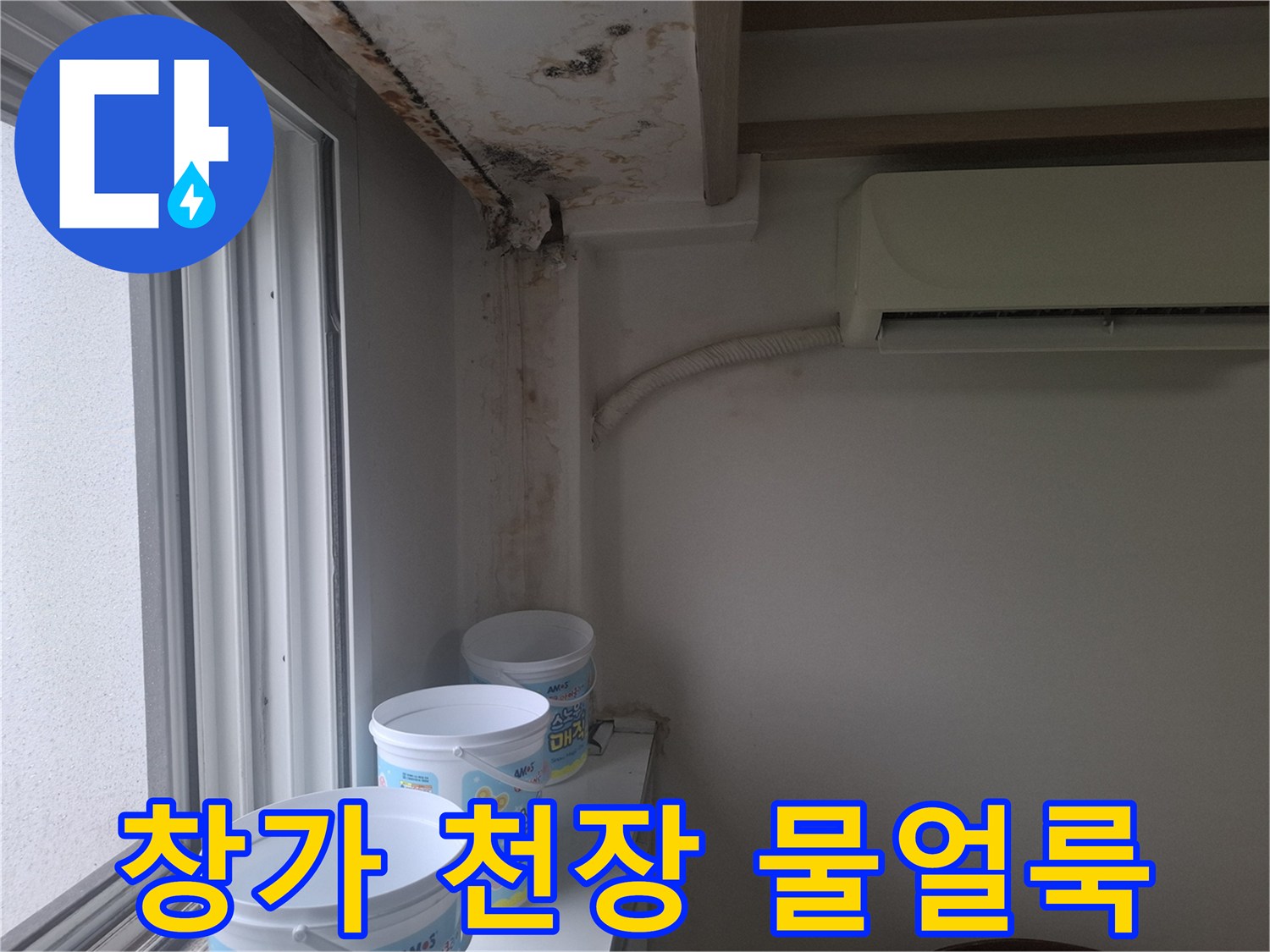 천장 몰딩 주변의 젖은 흔적과 검은 곰팡이 발생 부위