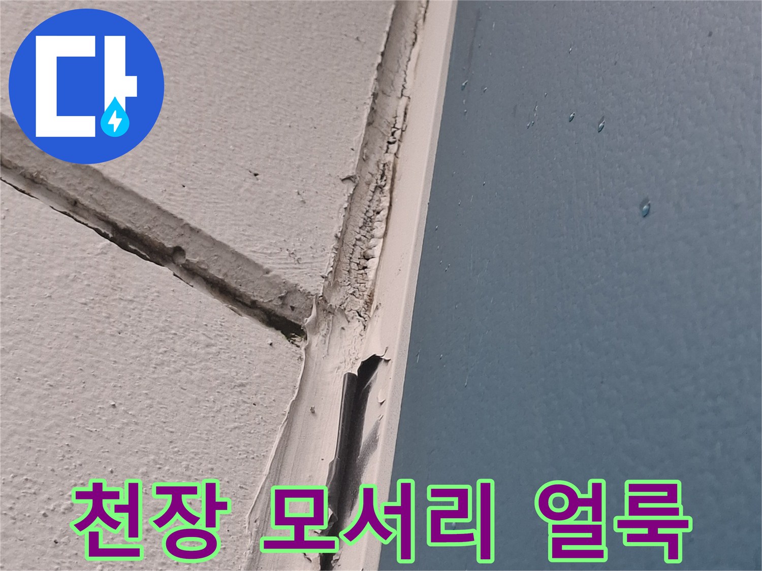 천장과 벽면 사이의 어두운 색 수분 침투 흔적