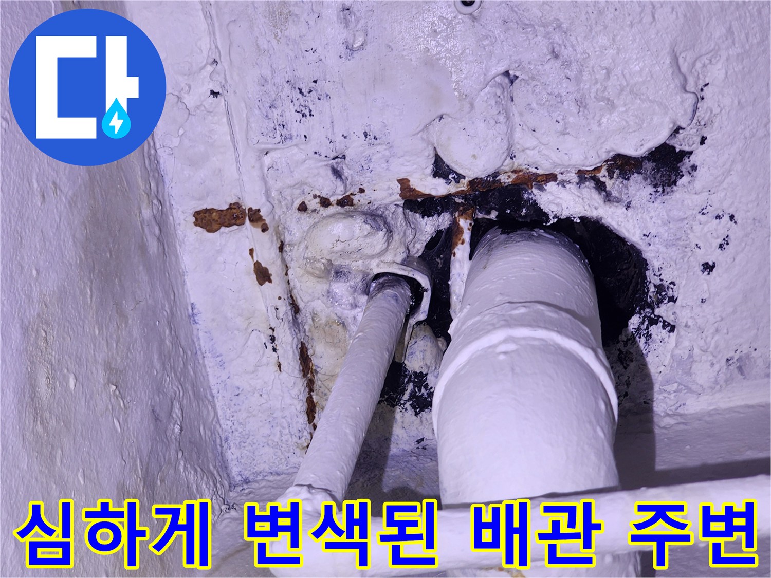 누수로-오염된-배단-연결부와-벽면